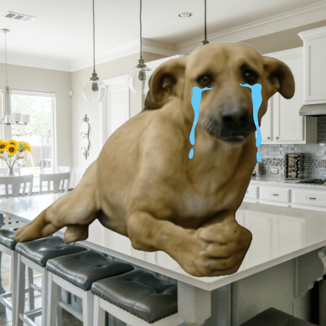 Ekmek Dog