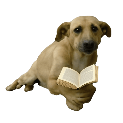 Reader
